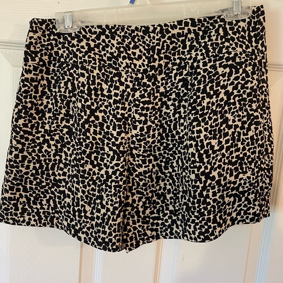 Loft Shorts Size 2 - Picture 2 of 11